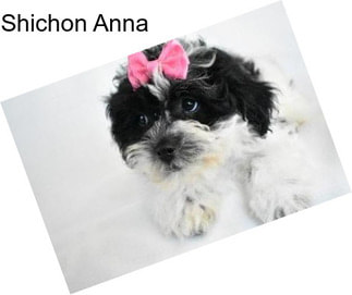 Shichon Anna