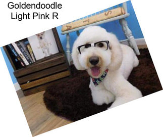 Goldendoodle Light Pink R