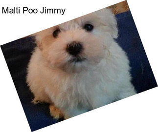 Malti Poo Jimmy