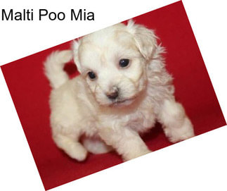 Malti Poo Mia