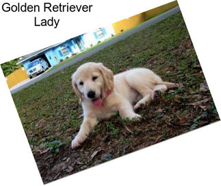 Golden Retriever Lady