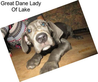 Great Dane Lady Of Lake