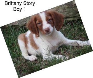 Brittany Story Boy 1