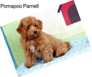 Pomapoo Parnell