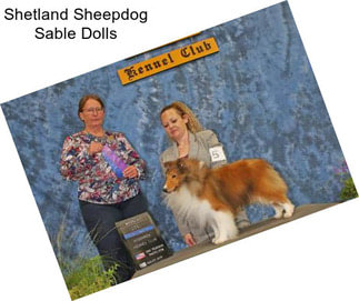 Shetland Sheepdog Sable Dolls