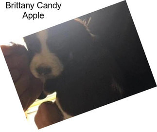 Brittany Candy Apple