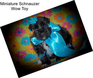 Miniature Schnauzer Wow Toy