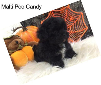 Malti Poo Candy