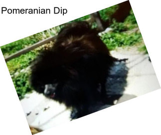 Pomeranian Dip