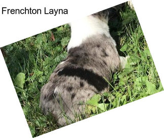 Frenchton Layna