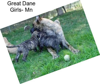 Great Dane Girls- Mn