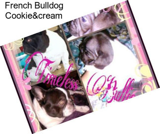 French Bulldog Cookie&cream