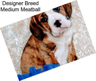 Designer Breed Medium Meatball