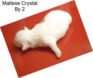 Maltese Crystal By 2