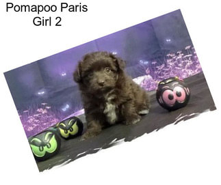 Pomapoo Paris Girl 2