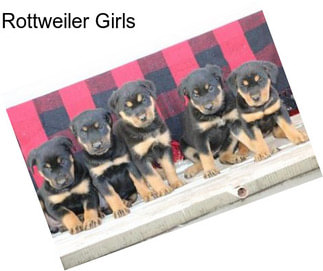 Rottweiler Girls