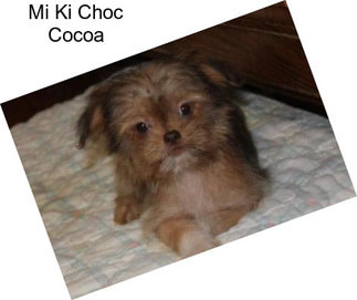 Mi Ki Choc Cocoa