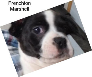 Frenchton Marshell