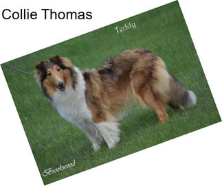 Collie Thomas