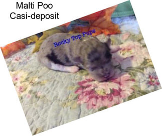 Malti Poo Casi-deposit