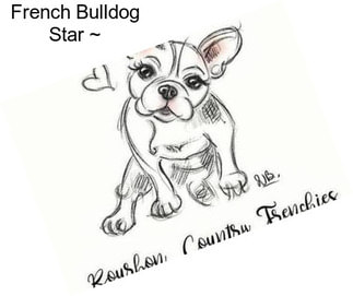 French Bulldog Star ~