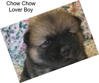 Chow Chow Lover Boy