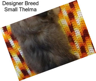 Designer Breed Small Thelma