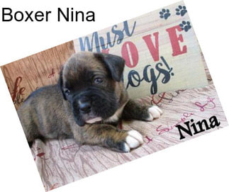 Boxer Nina