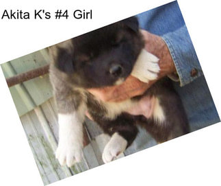 Akita K\'s #4 Girl