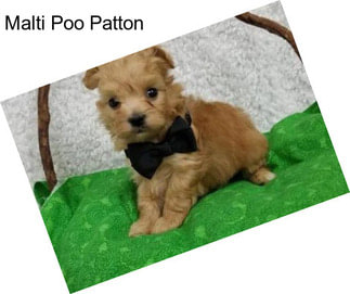 Malti Poo Patton