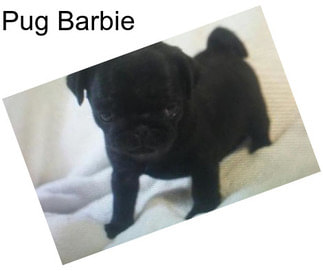 Pug Barbie