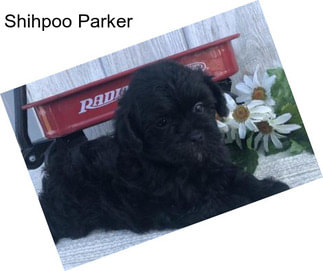 Shihpoo Parker