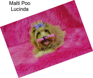 Malti Poo Lucinda