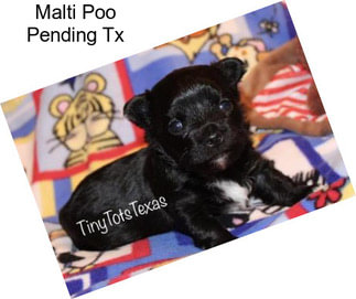 Malti Poo Pending Tx