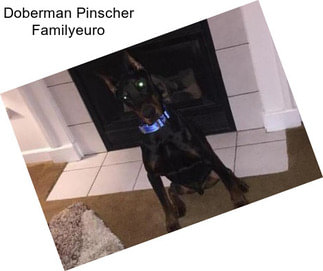 Doberman Pinscher Familyeuro