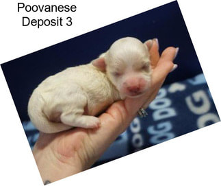 Poovanese Deposit 3