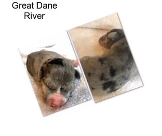 Great Dane River