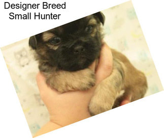 Designer Breed Small Hunter