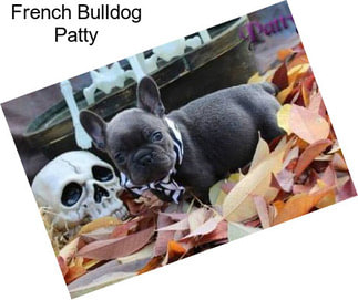 French Bulldog Patty