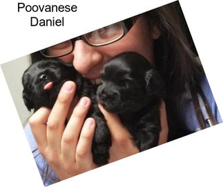 Poovanese Daniel