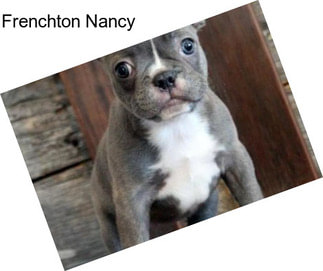 Frenchton Nancy