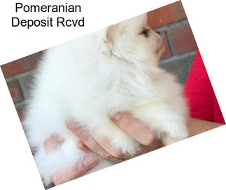 Pomeranian Deposit Rcvd