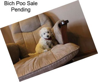 Bich Poo Sale Pending