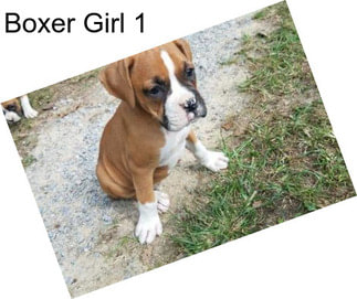 Boxer Girl 1