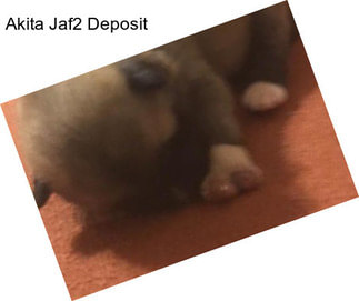 Akita Jaf2 Deposit