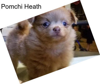 Pomchi Heath