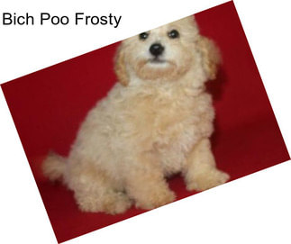 Bich Poo Frosty