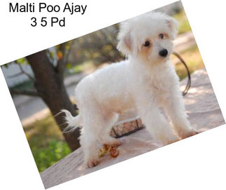 Malti Poo Ajay 3 5 Pd