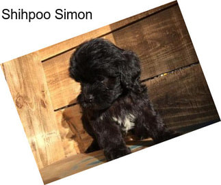 Shihpoo Simon