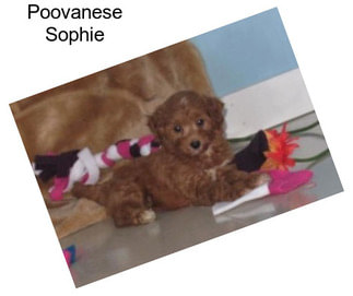 Poovanese Sophie